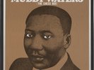 MUDDY WATERS 