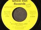 JOHNNY  ANDREWS & ENJOYMENTS: if i lost your love / disco girl WHEEL VAN 7