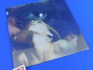 Deftones Saturday Night Wrist LP Vinyl Maverick Records Sealed NEW