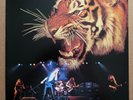 Tygers Of Pan Tang ‎– s/t same - Japan 1982 vinyl LP NEAR MINT VIM-4083