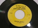 THE FUMIN' HUMINS RARE 45 . 