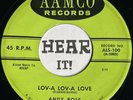 Cool Teen Rocker Rockabilly 45 ANDY ROSE Lov-a Love / Just Young AAMCO hear