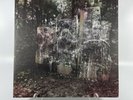 La Dispute - Wildlife Vinyl Record Yellow Cream Color Variant