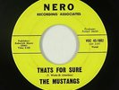Garage 45 - Mustangs - That's For Sure - Nero - VG+ mp3 - rare