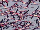 Deftones Gore 2 × Vinyl *NEW * Gatefold Reprise Records ?9362-49264-9 08 2016