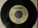 THE BEAU GENTRY / Dream Girl - Just In Case / FEATURE / 45rpm Vinyl Record
