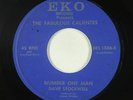 Garage 45 - Fabulous Calientes - Number One Man - Eko - mp3