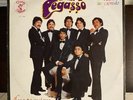 Grupo Pegasso