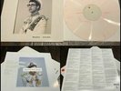 Bleachers Gone Now LP 1st Press White With Red Swirl Vinyl 12 Page Booklet