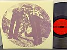 TY SEGALL & WHITE FENCE Hair 2012 DRAG CITY Alt Punk LP NMINT w Insert