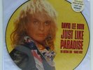DAVID LEE ROTH just like paradise (picture disc) 12 INCH EX/EX, W 8119 TP, vinyl
