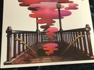The Velvet Underground - Loaded - Cotillon - SD 9034 - vinyl lp