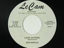 Psych Funk 45 - New World - Look Outside - Le Cam - VG+ mp3 - obscure