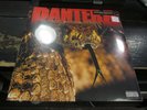 PANTERA The Great Southern Trendkill LP LTD White Orange Marble VINYL Record NEW