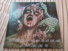 Disastrous Murmur- Rhapsodies in Red vinyl lp 2015 french reissue ships free