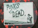 The Exploited - Punks not dead - Picture-LP - Neuwertig - Rarität
