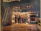 Blossoms - Debut LP NM 2016 Inners, booklet, code etc.