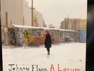 Johnny Flynn, “A Larum,” 2008 Lost Highway, VG+ to NM, 2 LP