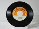 45 RECORD - THE MONKEES - I'M A BELIEVER
