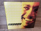 Shaggy Hotshot Vinyl LP Record 2000 US 1st Press Rare HipHop Reggae It Wasn’t Me