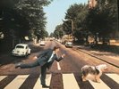 Paul McCartney. Paul is Live.1st press 1993 Vinyl Double LP. Parlophone. Mint.