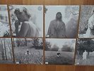 TAYLOR SWIFT FOLKLORE ALL 8 COVER VARIANTS BRAND NEW SEALED VINYL LP