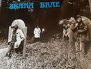 Skara Brae Lp Irish Folk