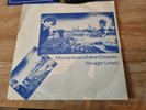 VIRGIN PRUNES In the Greylight & INSERT 1981 ROUGH TRADE 7” Vinyl Single EX+