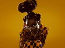 Little Simz Sometimes I Might Be Introvert Vinyl LP