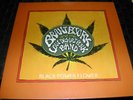 BRANT BJORK AND THE LOW DESERT PUNK BAND : BLACK POWER FLOWER / VINYL