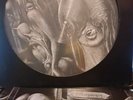 The Shiver Walpurgis Picture LP Pic Disc 1969 Ltd. Edition Numbered HR Giger