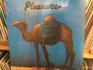 Pleasure 
