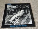 Spazz - Dwarf Jester Rising LP Record (Powerviolence, Crossed Out, Infest,...