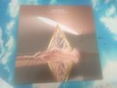 THE VAMPS - HAND SIGNED CHERRY BLOSSOM VINYL LP