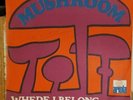Powerful Dutch Psych Hard Rock 45 Mushroom Where I Belong JAN AKKERMAN HEAR