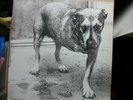 ALICE IN CHAINS 2 LP (Dog Album) original Europe Issue 1995 Columbia 4811141 VG+