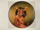 CHER Take Me Home LP Casablanca NBPIX7133 US 1979 VG+ PICTURE DISC 11A