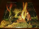 ECHO AND THE BUNNYMEN 33RPM LP CROCODILES ROCK NEW WAVE SIRE 1980