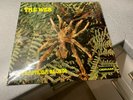 THE WEB - Theraphosa Blondi - UK 1st Deram pressing rare Ex++