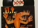 D.I. WHAT GOOD IS GRIEF TO A GOD LP ORANGE COUNTY HC PUNK ADOLESCENTS