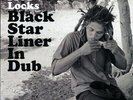 SEALED NEW LP Fred Locks - Black Star Liner In Dub