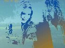Robert Plant & Alison Krauss - Raise The Roof (NEW 2 VINYL LP)