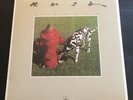 Rush- Signals - LP 200 Gram Vinyl - QRP 2015