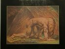 Atomic Rooster:Death walks behind you Lp Progressiv Psychedelic