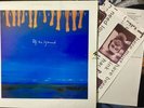 Paul McCartney ‎– Off The Ground RaRe LP Vinyl Venezuela Press + Inserts EX