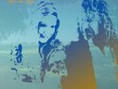 Robert Plant & Alison Krauss - Raise The Roof - 180g Vinyl 2LP