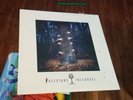 I See Stars - Treehouse VINYL LP 2016 SEALED Opaque Dark Red 1 of 250 New MINT