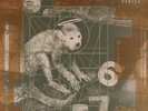 Pixies ?- Doolittle LP Vinyl Album - Debaser - Here Comes Your Man SEALED RECORD