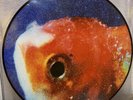 Vince Staples Big Fish Theory Vinyl LP Picture Disc