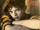 New SIMPLY RED Picture Book 2020 Import RED Vinyl HOLDING BACK THE YEARS Sealed